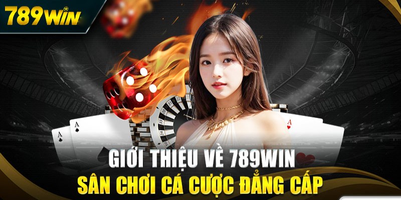 Cổng game cam kết mang đến môi trường cá cược an toàn cho khách hàng